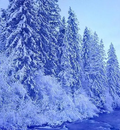 родинна оселя *