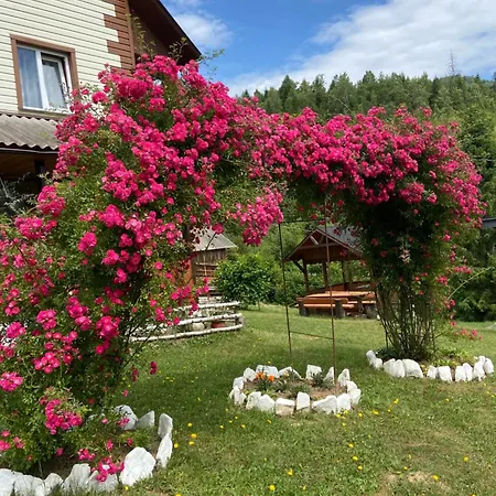 родинна оселя 게스트하우스